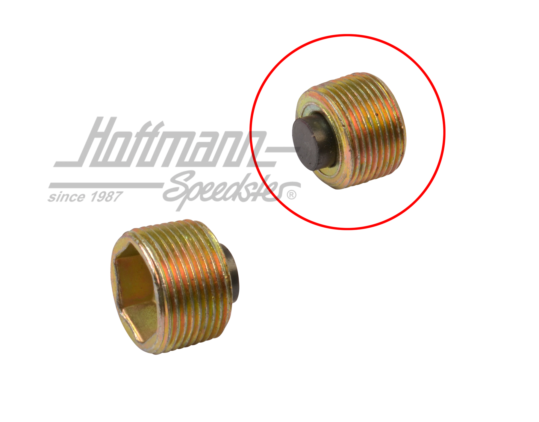Getriebeölablaßschraube, magnetisch | 113 301 141 B | 010-2109