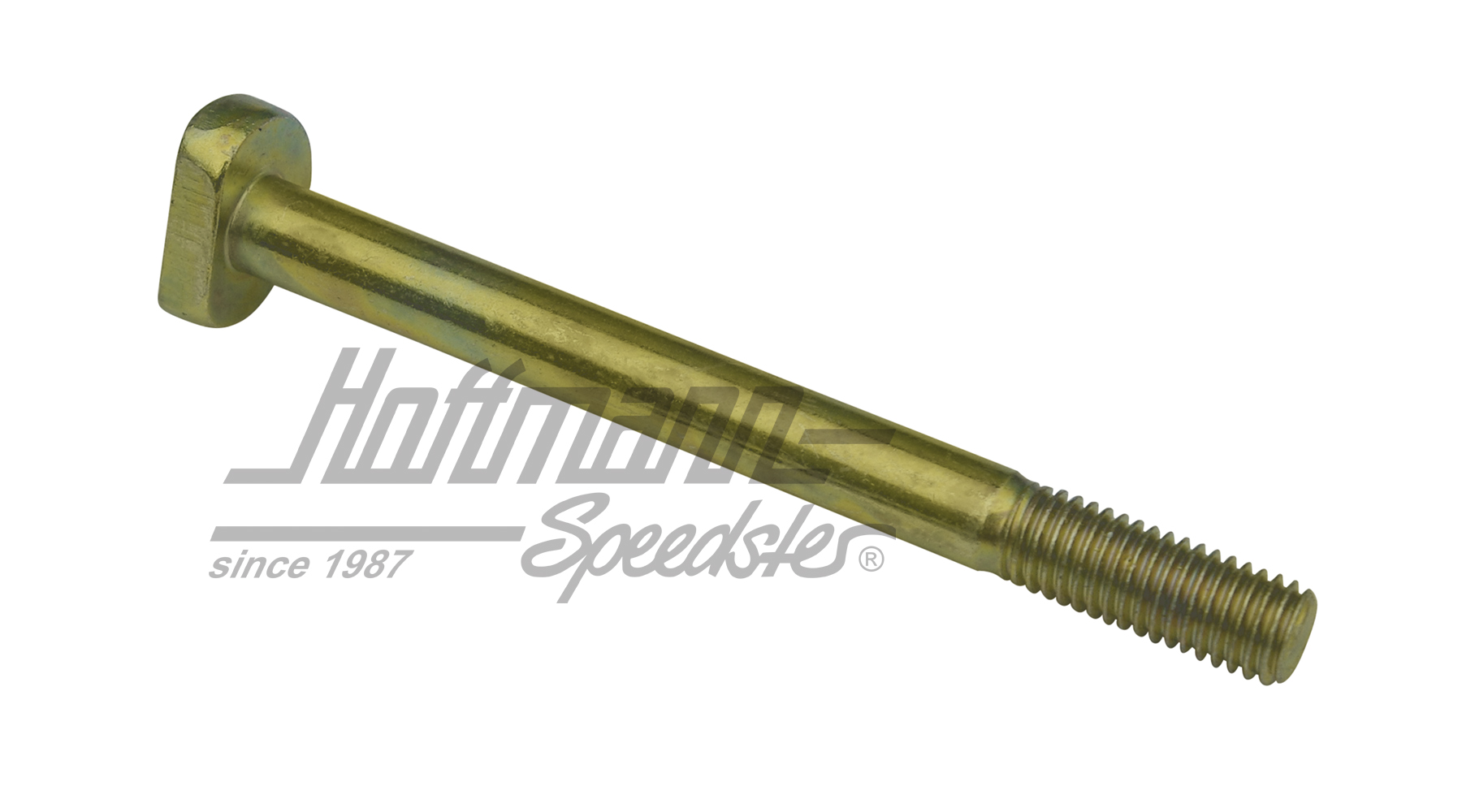 Hammerschraube, Motorbefestigung, M10x110 | 111 199 101 | 010-0993