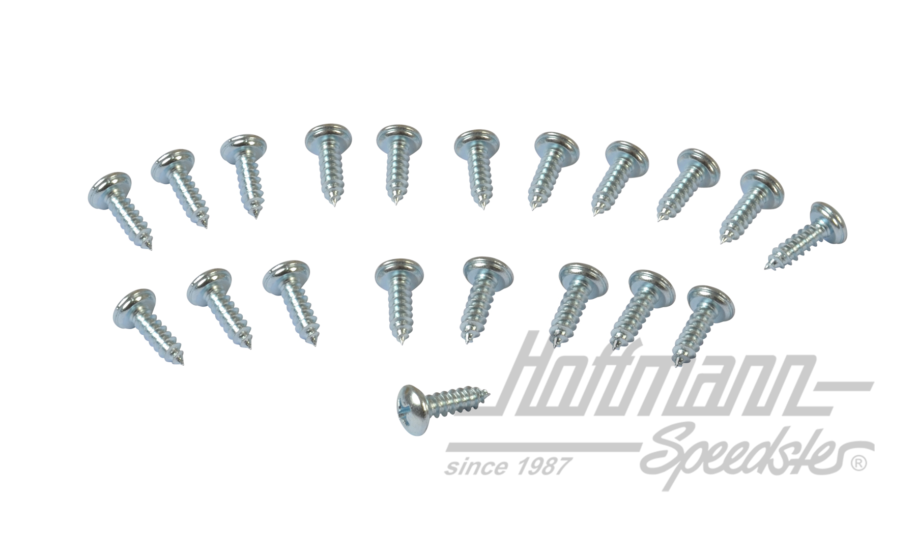 Schrauben, Westfalia (20 Stück) | 255 070 240 | 385-3012