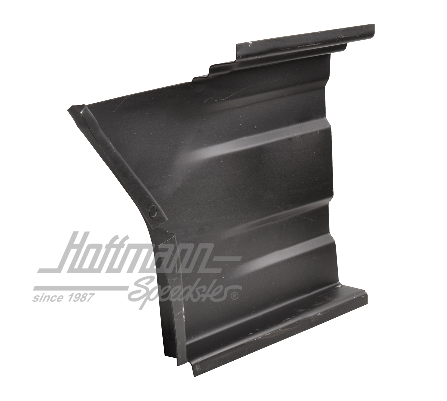 Rep.Blech, Außenschweller, hinten, links