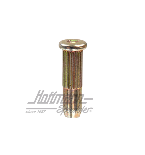 Sicherungsbolzen, Türfänger, Golf 1/2 | 191 837 257 B | 180-1060