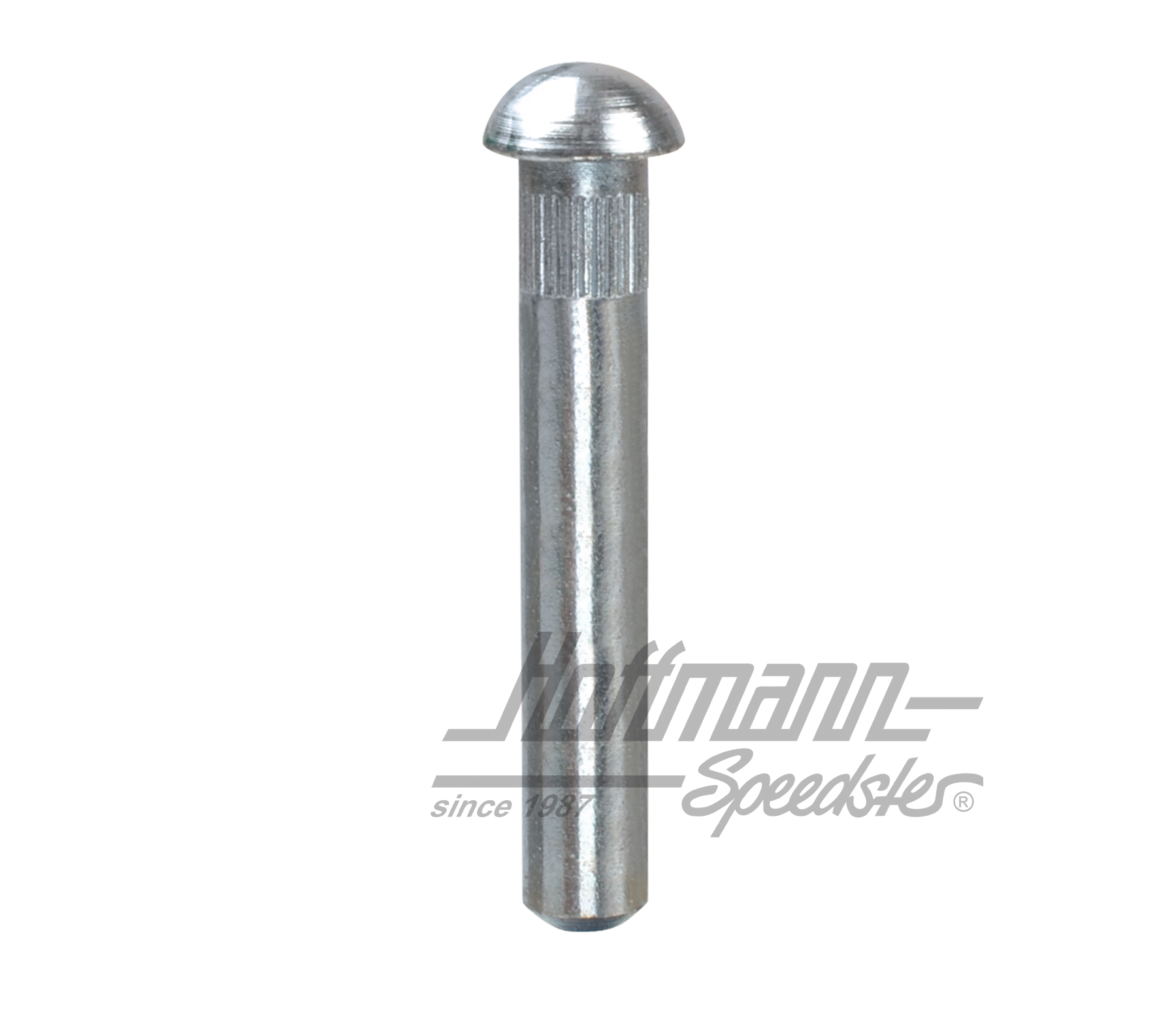 Türscharnierbolzen, ø8.2mm (2.Übermaß) | 211 831 421 B | 089-5040-09