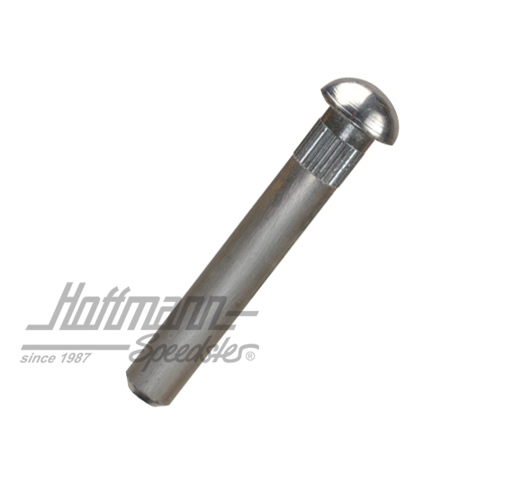 Türscharnierbolzen, ø8mm (Serie)