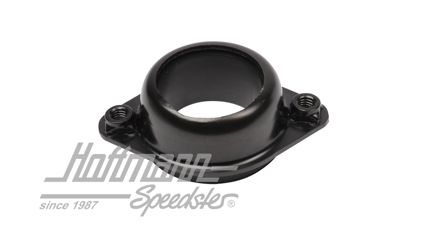 Halter, Lenksäule, Bus T1