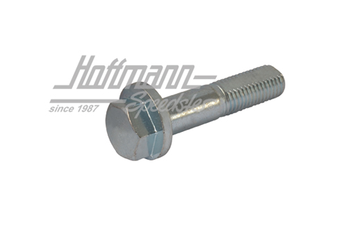 Exzenterschraube, Federbein, Golf 1 | 171 407 265 | 140-3422