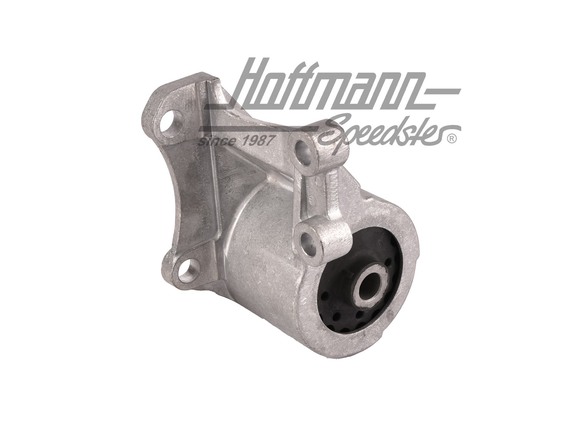 Getriebelager, hinten, Automatikgetriebe | 701 399 201 AE | 401-1230-14