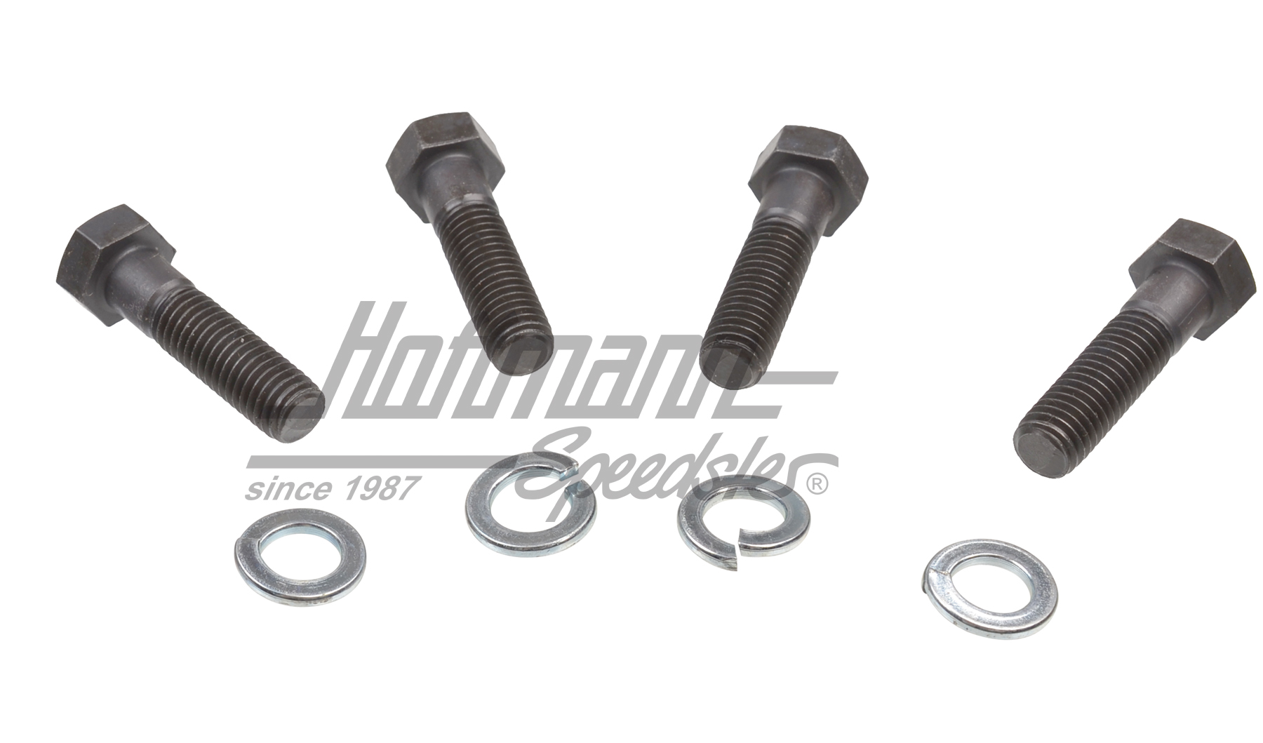 Schraubensatz, Drehstabdeckel, M10x38 | N  010 201 | 020-0701-10