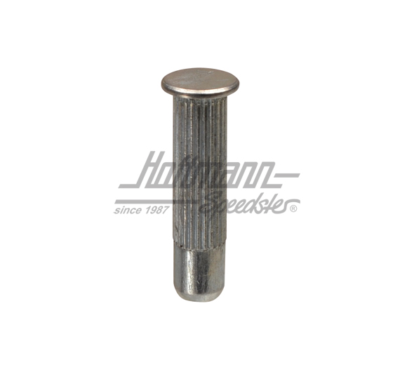 Sicherungsbolzen, Türfänger, 8.67-2.77 | 211 837 257 A | 097-0998-20