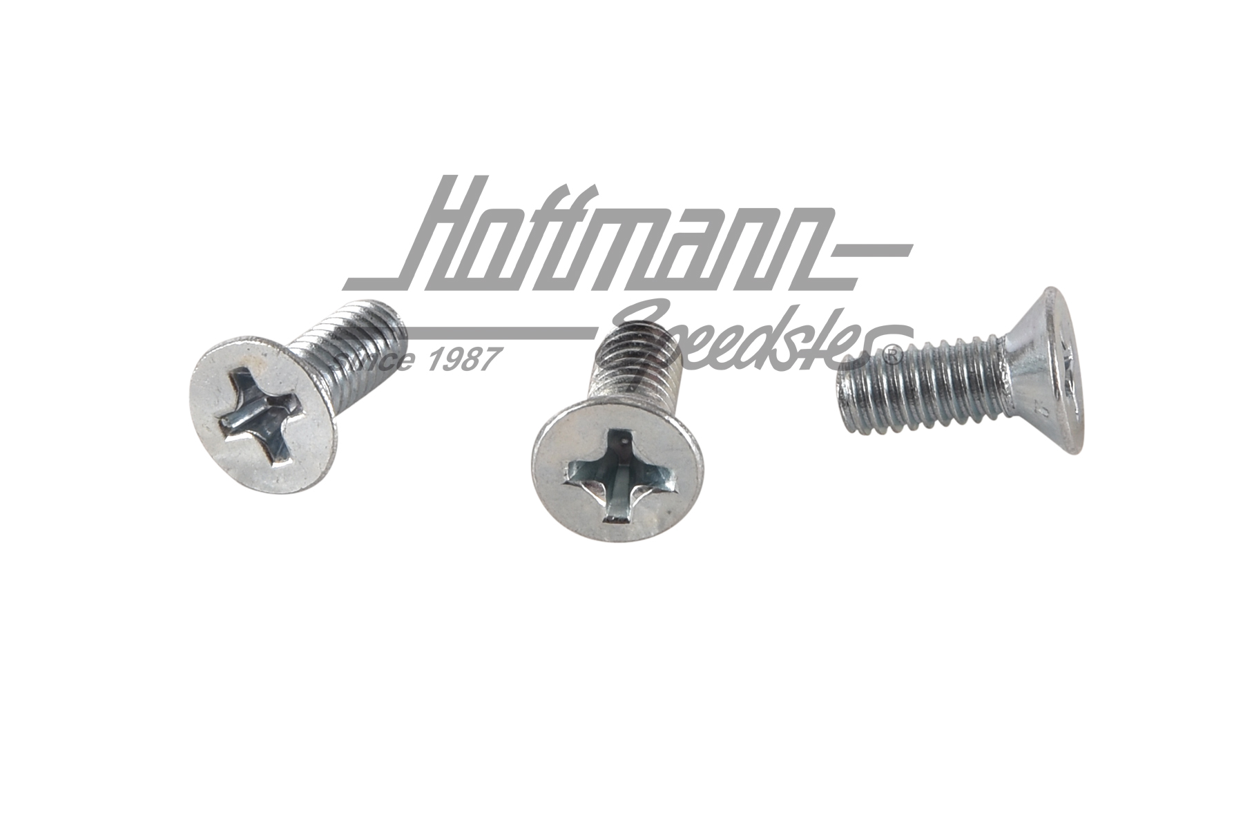 Schrauben, Aussteller, Bus T1 (3 Stück) | N  014 255 1 | 089-3840-43
