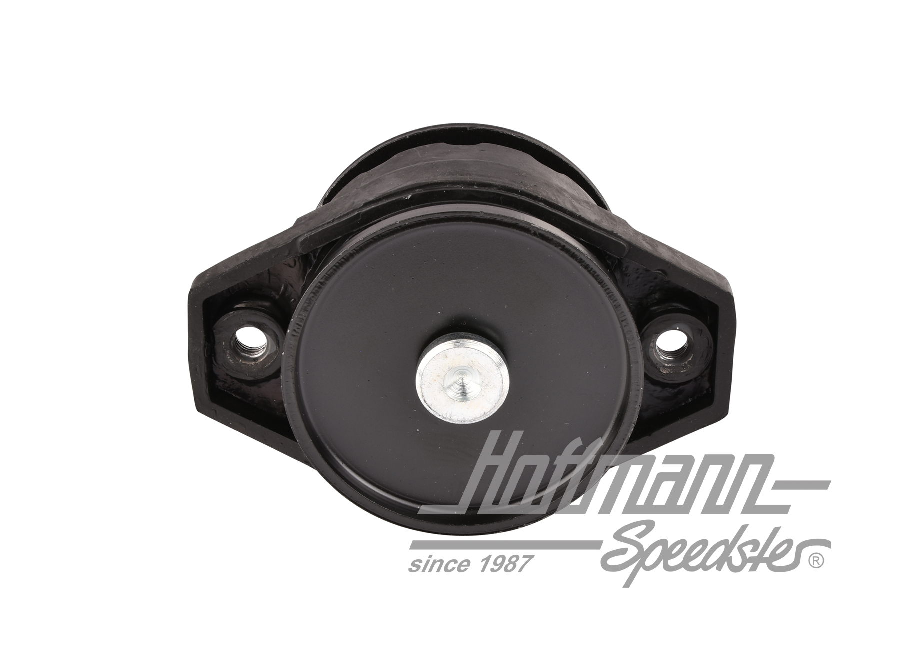 Getriebelager, hinten, Bus T4, 90-92