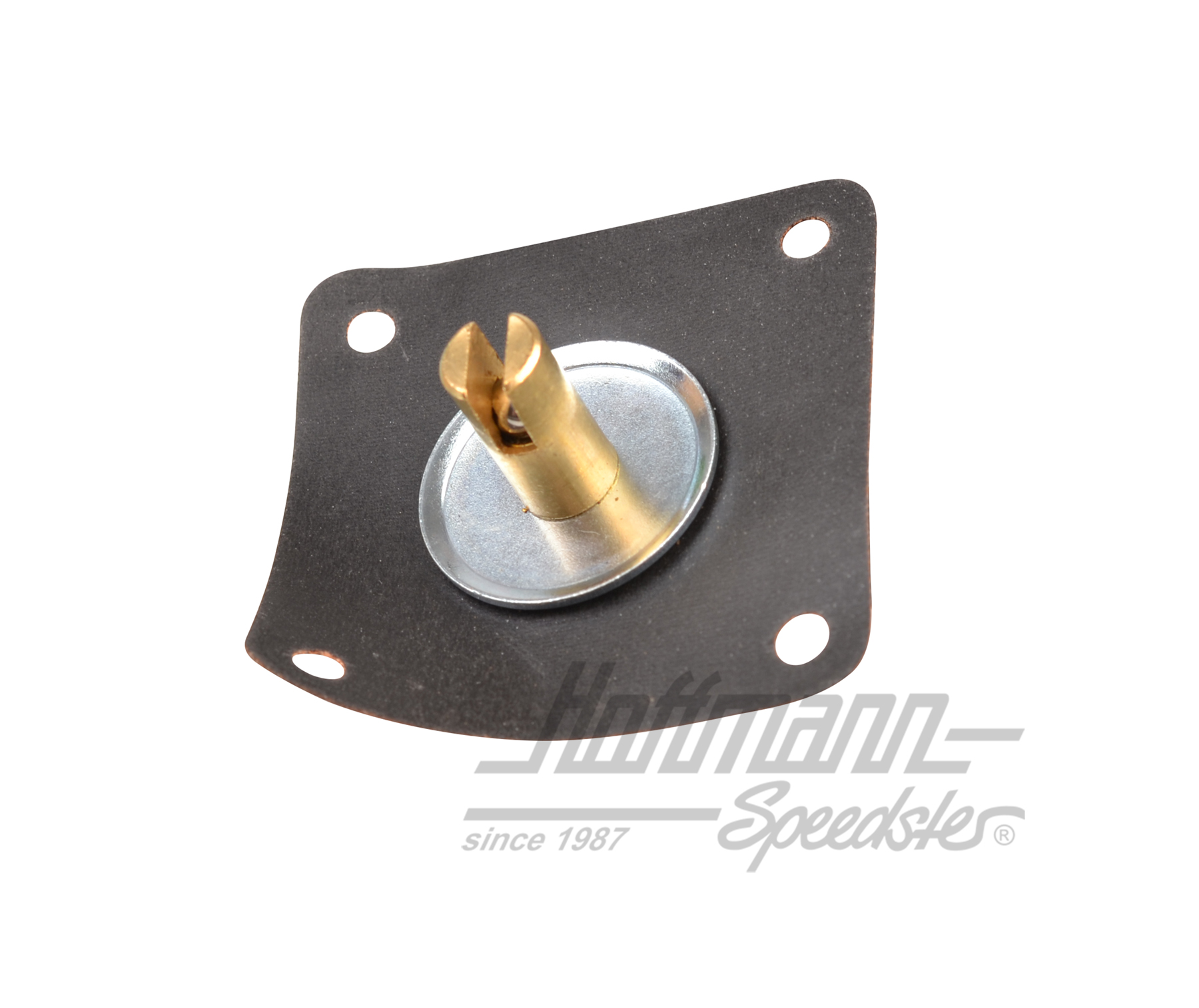 Membrane Beschleunigerpumpe,31/34 PICT-4
