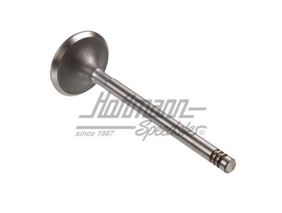 Einlassventil, WBX , 39.9mm/ 8mm | 025 109 601 C | 307-0643