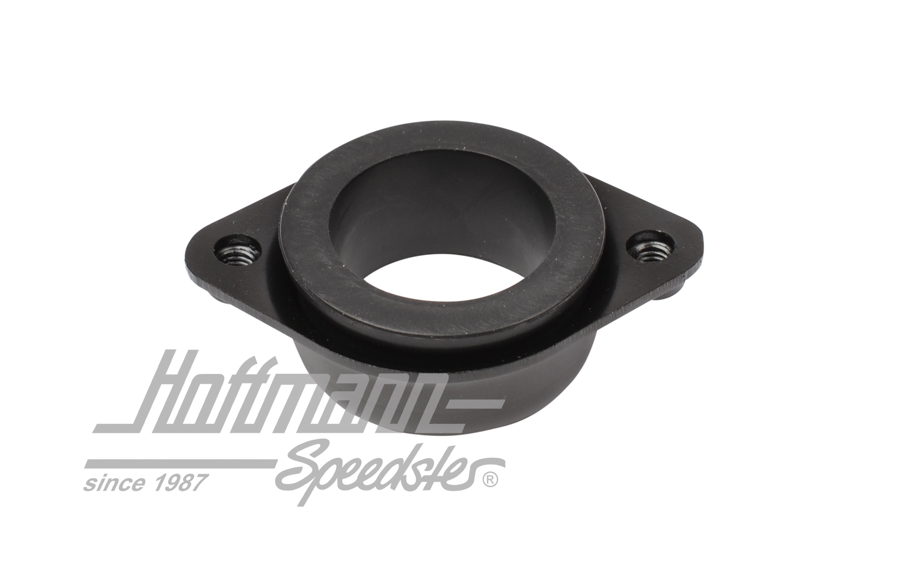 Halter, Lenksäule, Bus T1