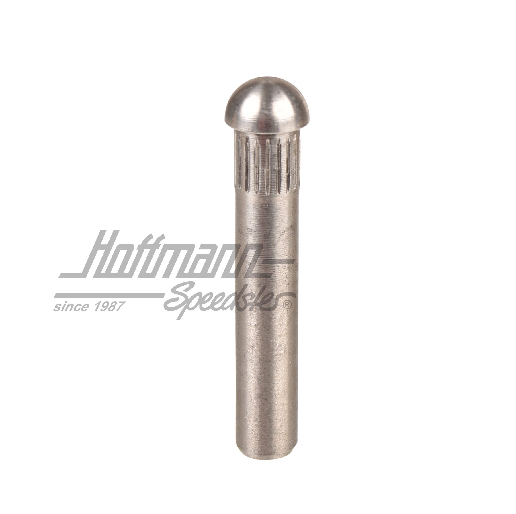 Türscharnierbolzen, ø9mm, (4 Übermaß) | 211 831 421 | 089-5040-13