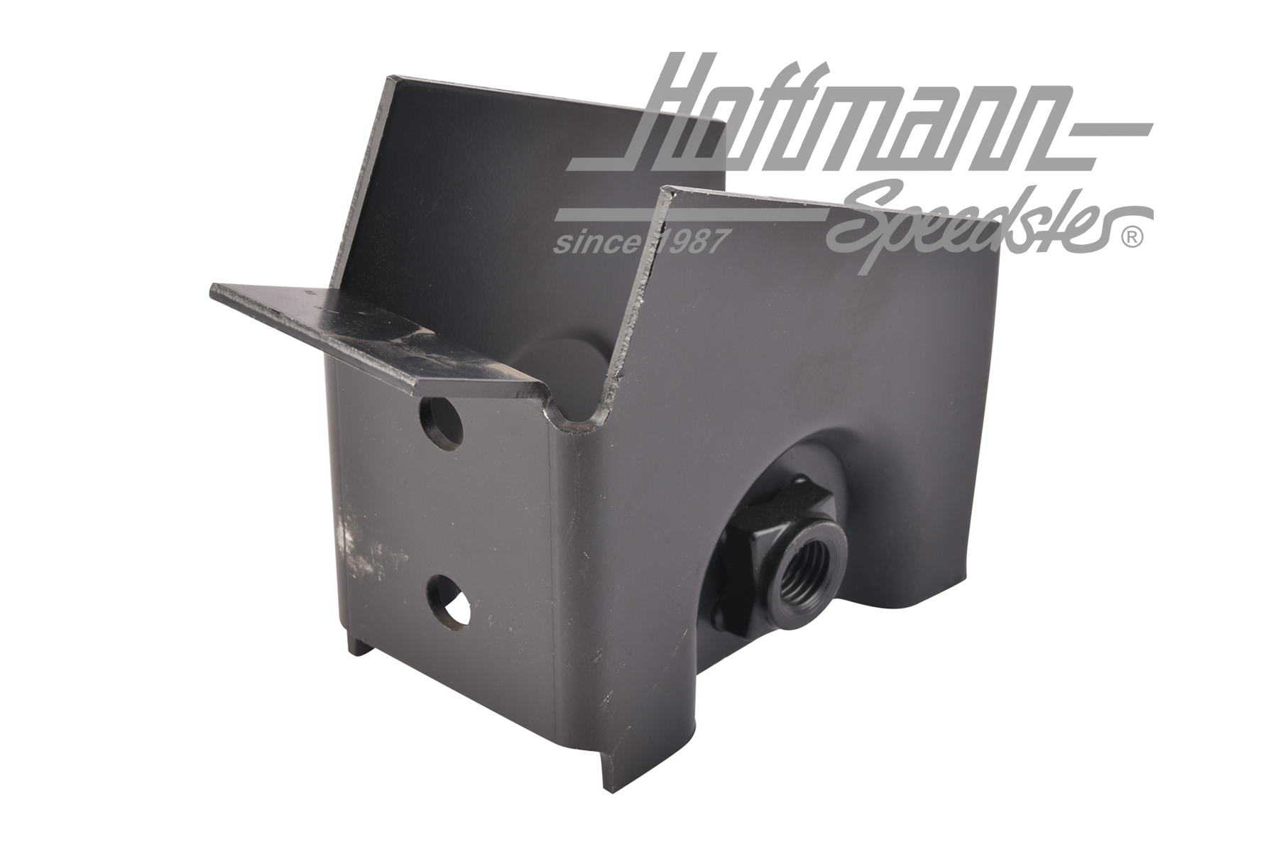 Aufnahme, Stoßdämpfer, hinten, li.