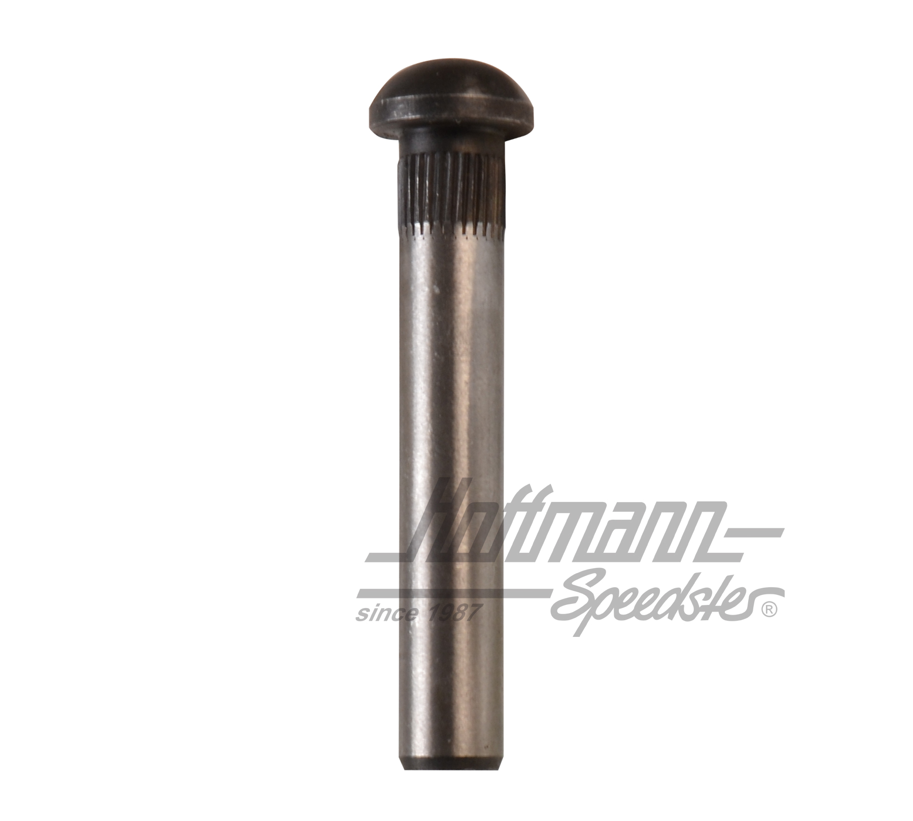 Türscharnierbolzen, ø8mm (Serie) | 211 831 421 | 089-5040-07
