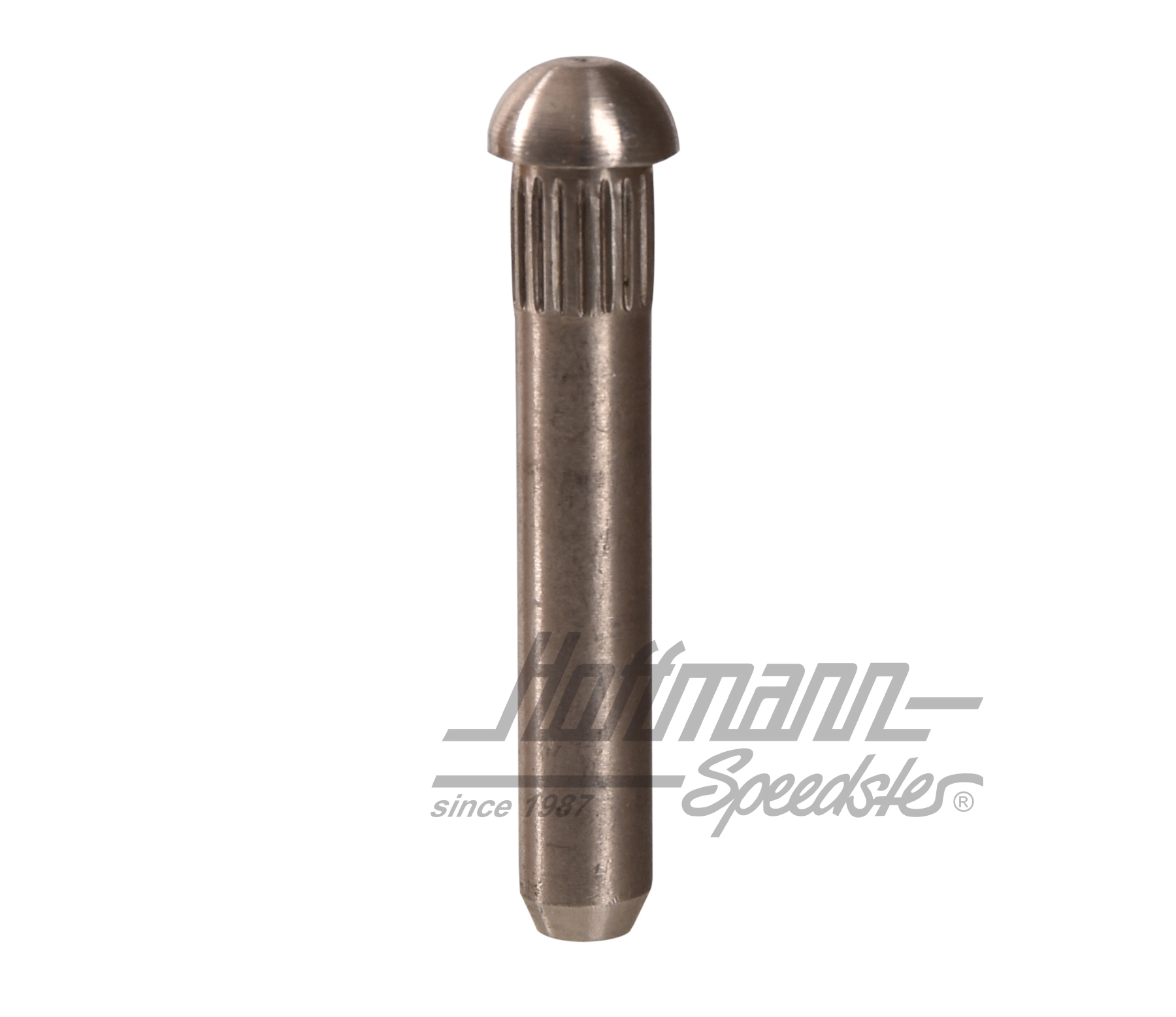 Türscharnierbolzen, ø8.5mm (3.Übermaß) | 211 831 421 | 089-5040-10